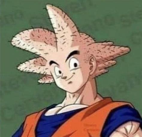 Hairless Goku MyConfinedSpace