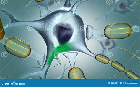 Neuroni Cerebrali Sinapsi Chimica Chiusura Illustrazione Di Stock