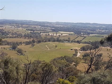 Mount Barker Summit Updated 2021 All You Need To Know Before You Go