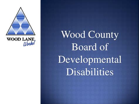 Ppt Wood County Board Of Developmental Disabilities Powerpoint