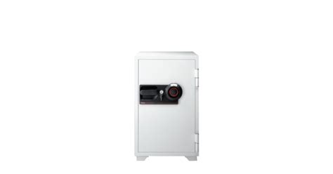 Sentrysafe Commercial Combination Fire Safe S6370 Furniture And Home