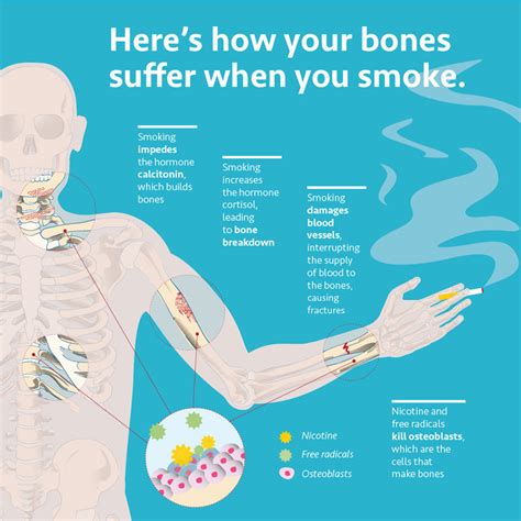 What Smoking Does To Your Bones Uci Health Orange County Ca