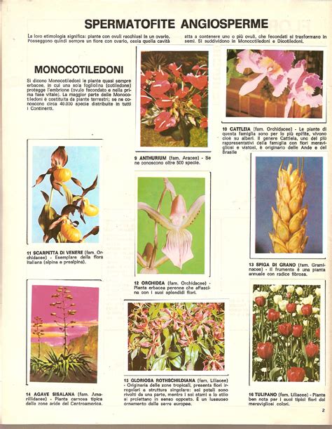 florafauna e minerali - Imperia 1967