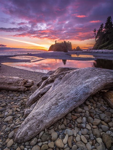 Ruby Beach Sunset Photograph By Stevan Tontich