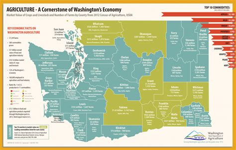 Washington Grown Grown In Washington Crops And Economy Washington