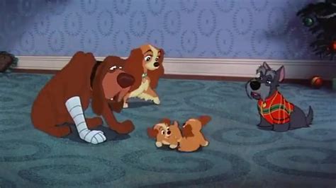 Yarn Oh No Doubt About It Lady And The Tramp 1955 Romance