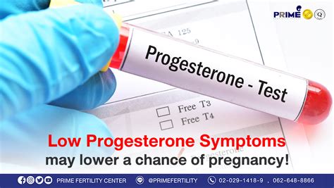 Low Progesterone Symptoms May Lower A Chance Of Pregnancy Ivf