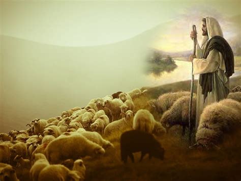 3840x2160px 4k Free Download Jesus Good Shepherd Christ Sheep