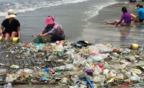 Plastikmüll im meer verletzt und tötet meerestiere. Plastik im Meer am Strand Projekt gegen Plastikmuell im ...