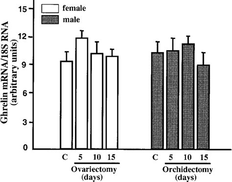 Effect Of Gonadectomy In Adult Male And Female Rats On Ghrelin Gastric