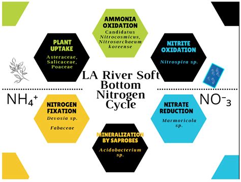 diversity free full text the community structure of edna in the los angeles river reveals an
