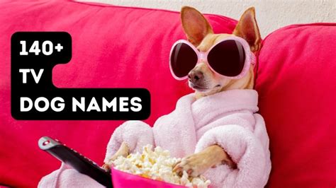 140 Tv Dog Names From Your Favorite Shows