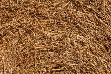 Macro Of Straw Texture In Haystack Stock Image Colourbox