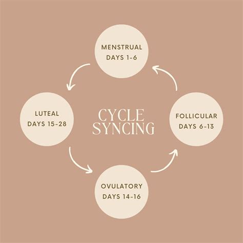 Cycle Syncing Foods For Each Phase Organically Becca