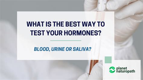 The Best Way To Test Hormones Planet Naturopath