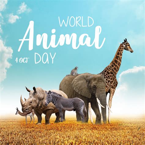 World Animal Day Banner Free Psd Template Indiater
