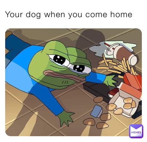 Your Dog When You Come Home Alecwithey2 Memes