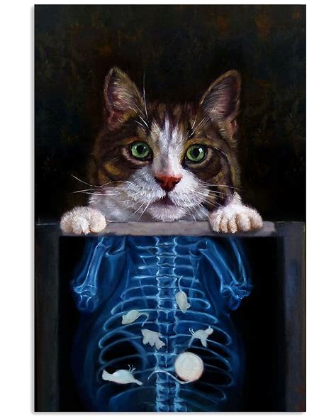 Cat X Ray