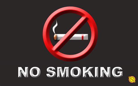 Poster No Smoking Lucu