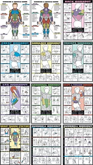 Amazon Fitnus Chart Flip Chart 12 Posters In 1 Book Bruce Algras