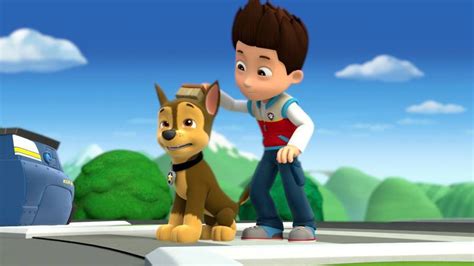 Chase The German Shepherd Paw Patrol Photo 40127428 Fanpop