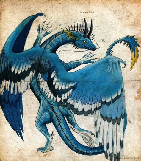 Western Dragons Blue Dragon Dragon Art Feathered Dragon Types Of
