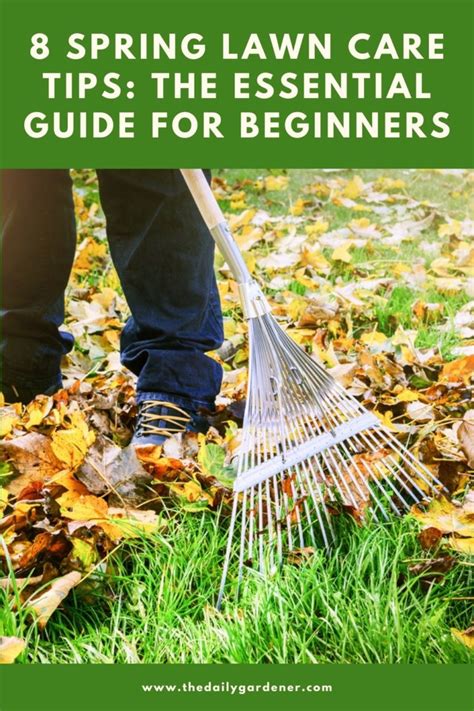 8 Spring Lawn Care Tips The Essential Guide For Beginners