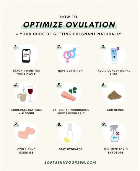 how to optimize ovulation boost fertility increase your odds of getting pregnant naturally