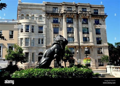 Baltimore Maryland Estatua De Un León Sentado Y Edificios De