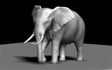 Artstation African Elephant