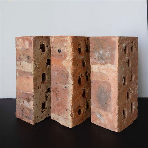 Apollo Perforated Nfp 7mpa Jenkor Brick Sales Cape Town