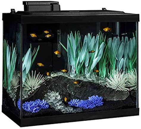 Best 20 Gallon Aquariums Reviews And Buyers Guide