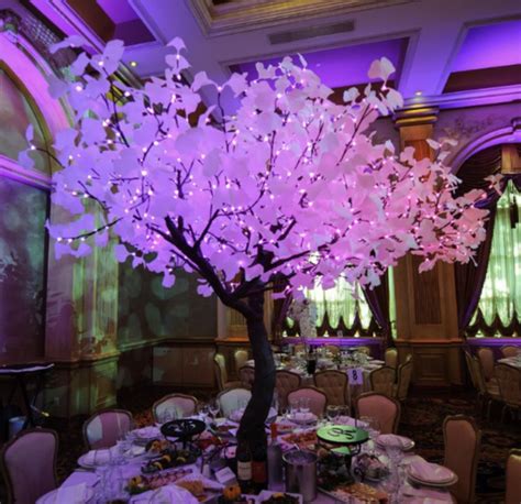 Lighted Trees Event Rentals/ Led Glowing Lighted Tree ...