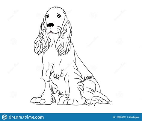 Realistic Cocker Spaniel Coloring Pages  Always Happy