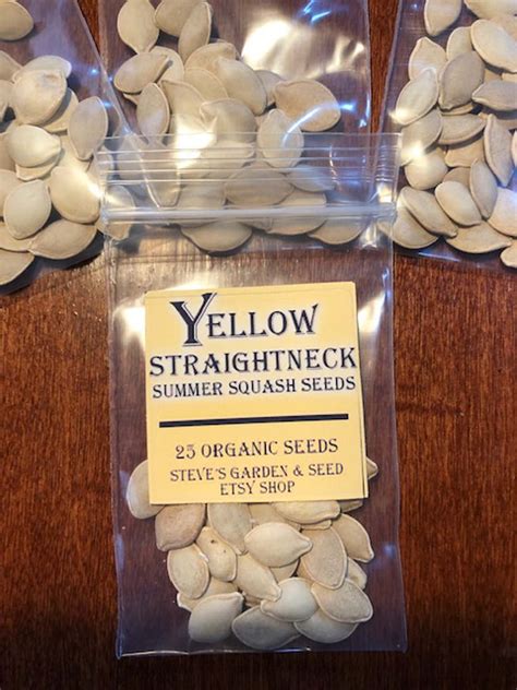 Yellow Straightneck Summer Squash Seeds 25 Seeds Organic Etsy