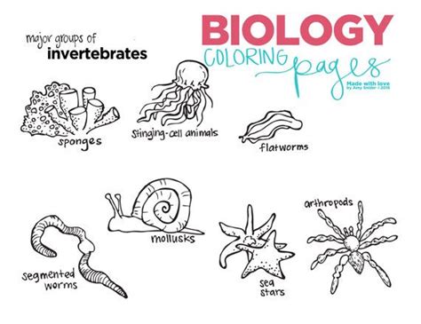 Vertebrates evolved during the cambrian period, over 530 million years ago. Have fun learning about BIOLOGY as you and your kids enjoy ...