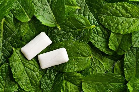 Mint Leaves And Chewing Gum — Stock Photo © Jirkaejc 11874411