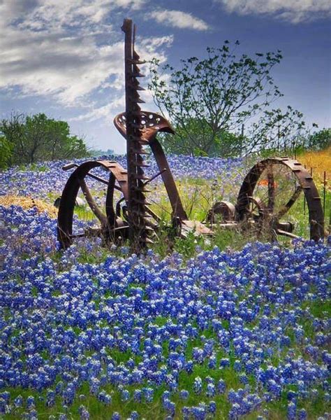 Spring Country Scenes Country Life Landscape