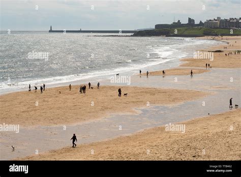 View South Along Longsands Beach In Tynemouth North East England Uk