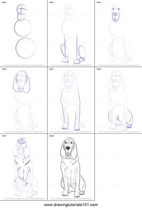 Https://tommynaija.com/draw/how To Draw A Bloodhound Cartoon