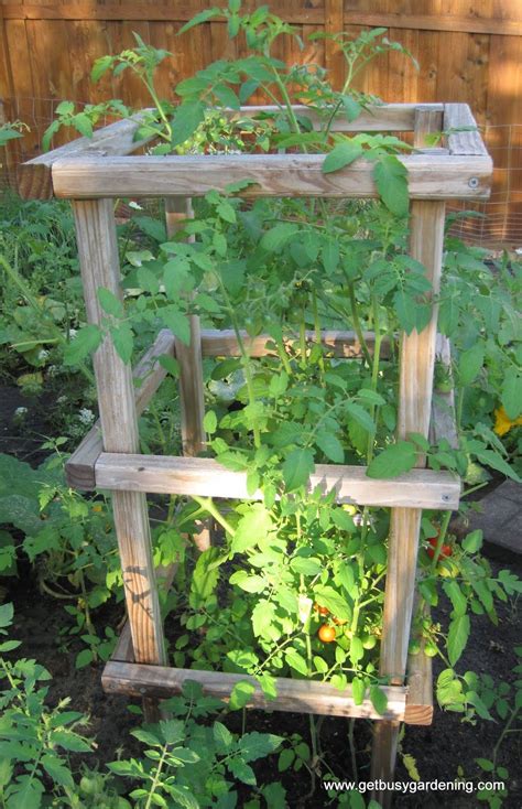 How To Make Sturdy Diy Tomato Cages Tomato Cages Tomato Garden Garden