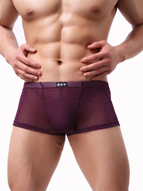 Here To Give You What You Want Sexy Mens Sheer See Through Boxer Briefs