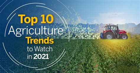 Top 10 Agriculture Trends To Watch In 2021 Agrocomm Trade Limited