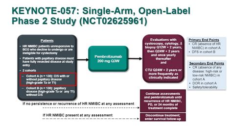 asco gu 2019 keynote 057 phase ii trial of pembrolizumab for patients with high risk nmibc