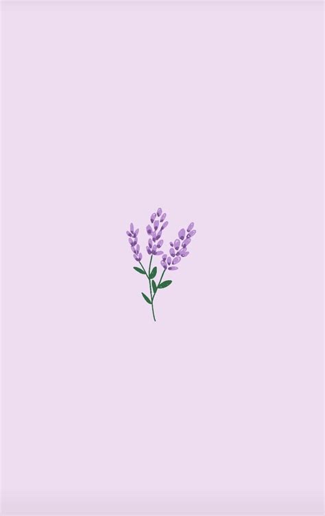 Minimalist Purple Flowers Wallpapers Top Free Minimalist Purple