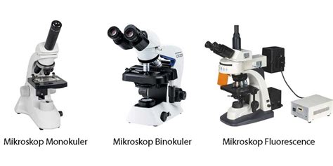 Jenis Mikroskop Disertai Gambar Dan Fungsinya Lengkap Laboratory And