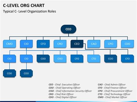 C Level Org Chart Ppt In Org Chart Organizational Chart Chart
