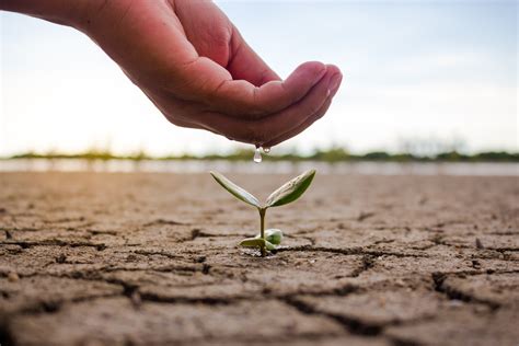 Instead, use paper bags and cardboard containers. Why You Should Recycle The Water From Your Cooling System