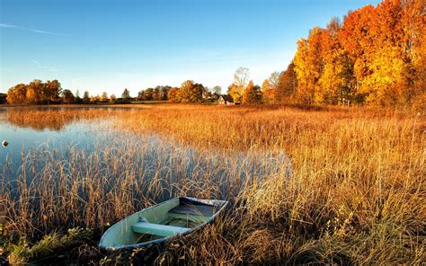 Wallpaper Autumn Scenery Lake Water Grass Boat Trees House