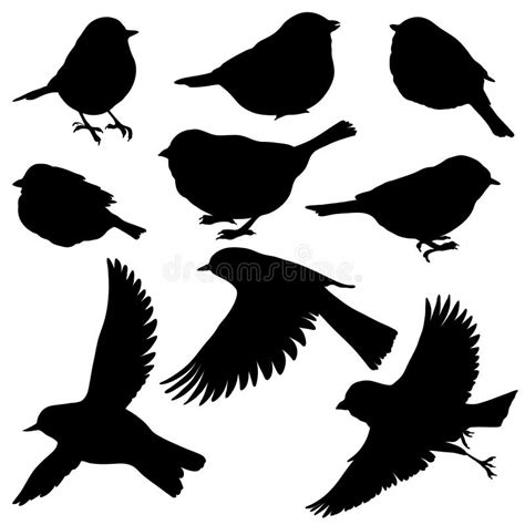 Vector Silhouettes Of Birds Stock Vector Illustration Of Animal